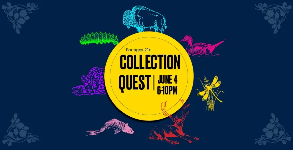 COLLECTION QUEST @ FIELD MUSEUM, CHICAGO  