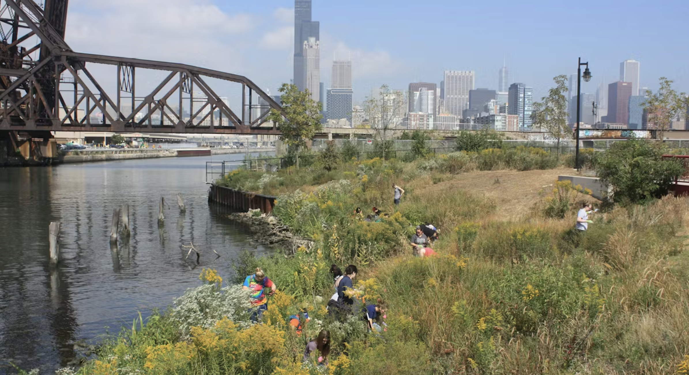 ACTION DAYS WITH SHEDD AQUARIUM, CHICAGO