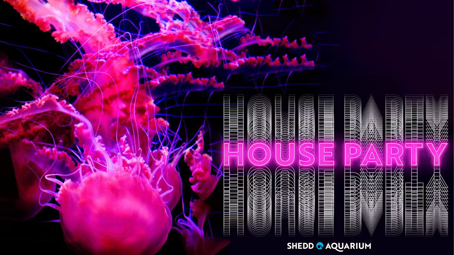 HOUSE PARTY @ THE SHEDD AQUARIUM, CHICAGO