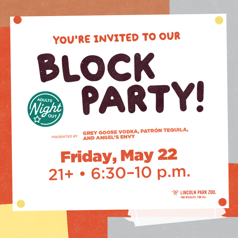 ADULTS NIGHT OUT: BLOCK PARTY @ THE LINCOLN ZOO, CHICAGO