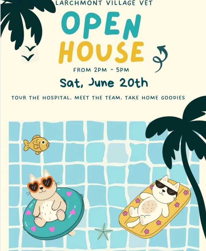 LARCHMONT VILLAGE VET OPEN HOUSE, LA