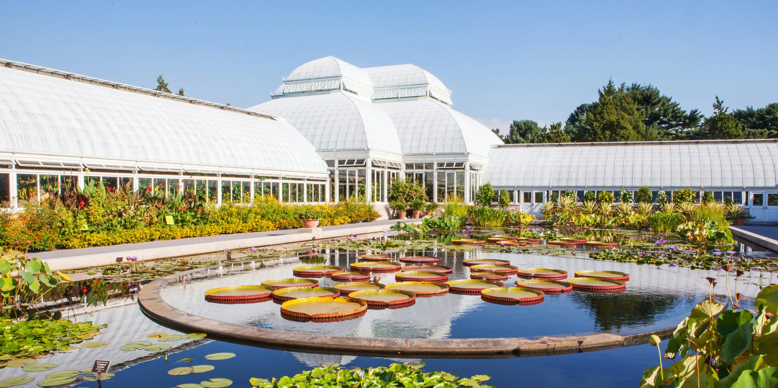 NEW YORK BOTANICAL GARDEN BRONX DAY 2026, NYC