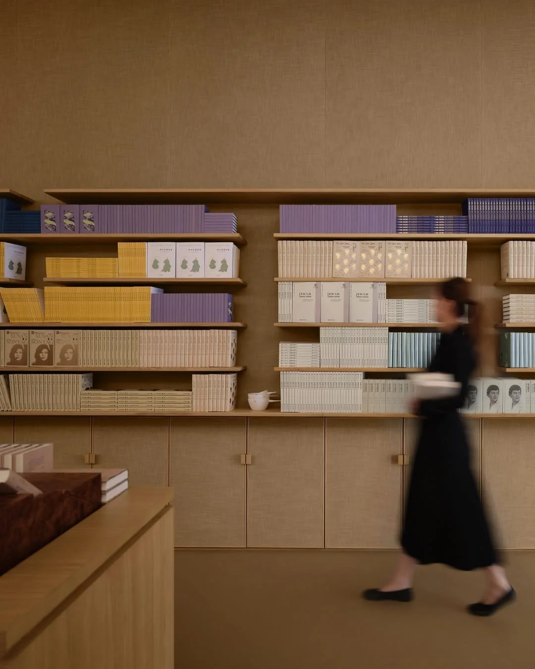 THE AESOP QUEER LIBRARY, NYC
