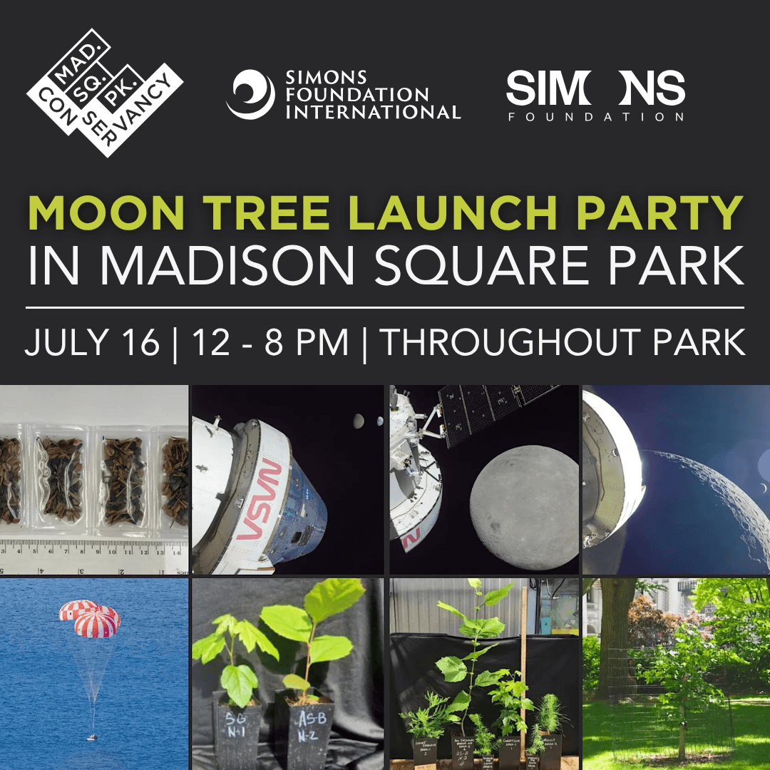 NASA MOON TREE WITH SPACE-THEMED LAUNCH PARTY, NYC 