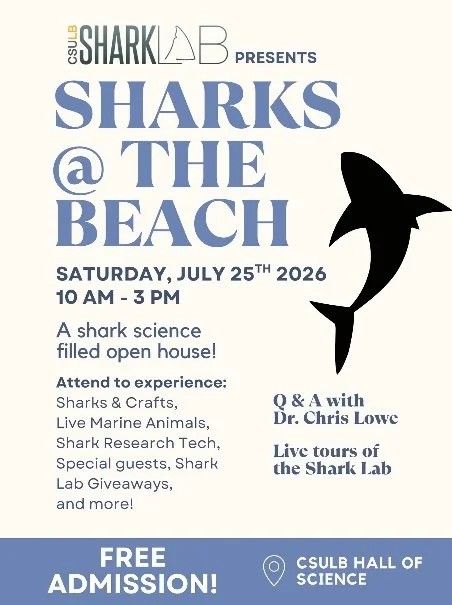 CSULB SHARKS AT THE BEACH, LA