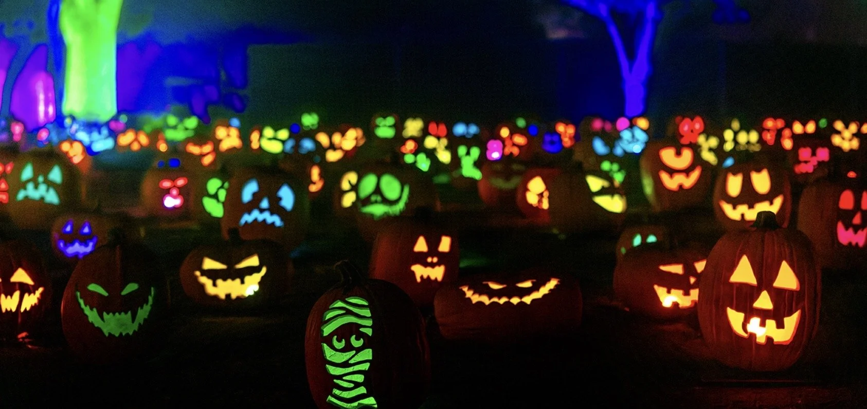 MAGIC OF THE JACK O’ LANTERNS, LA