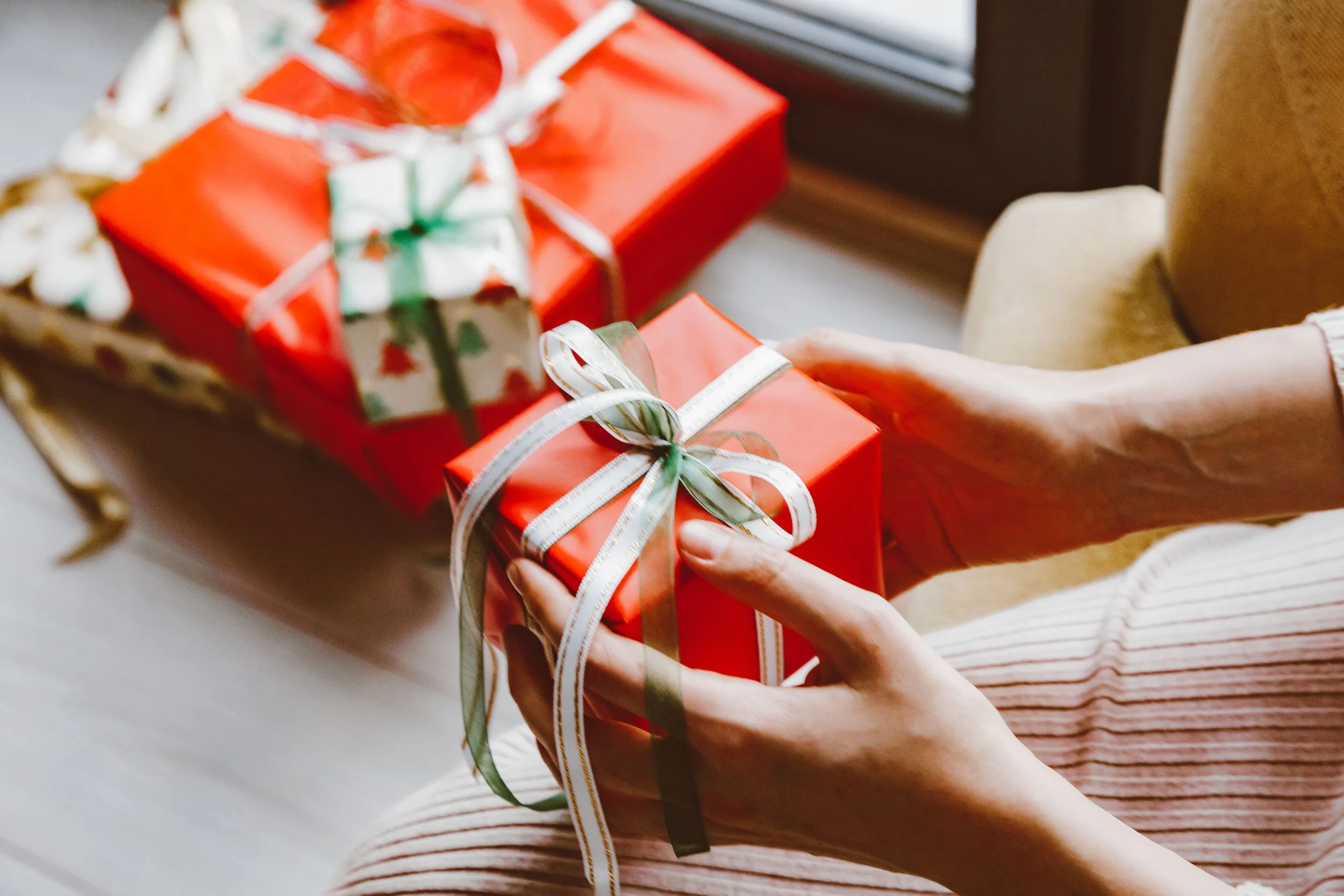 HOLIDAY GIFT GUIDE 2026