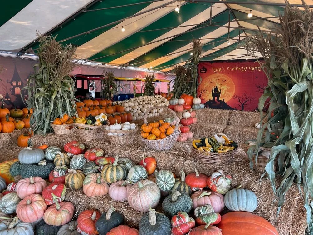 TINA’S PUMPKIN PATCH, LA