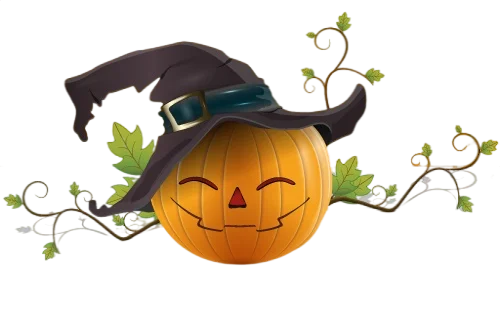 SHAWN'S PUMPKIN PATCH 2026, LA