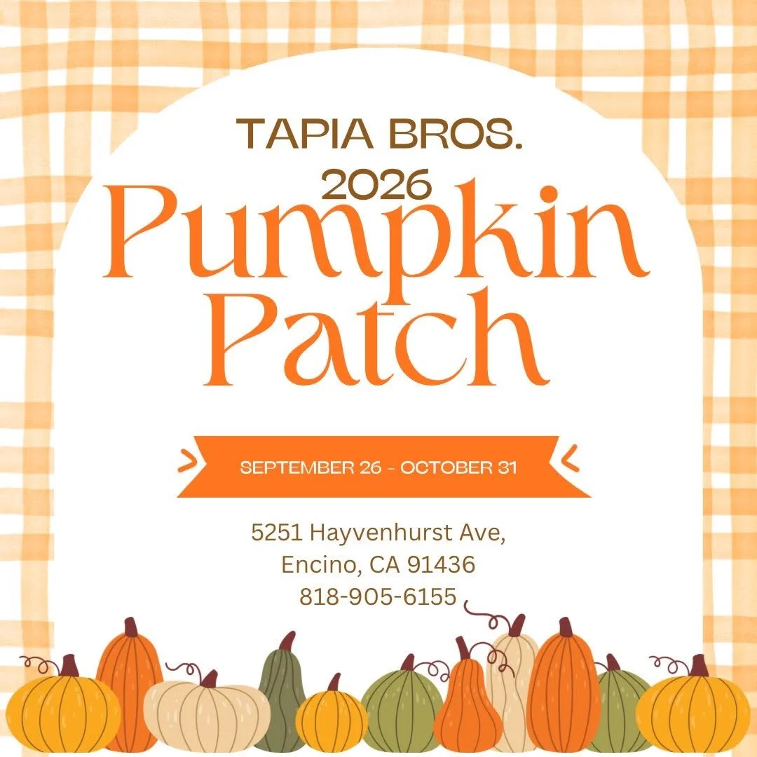 TAPIA BROS PUMPKIN PATCH, LA
