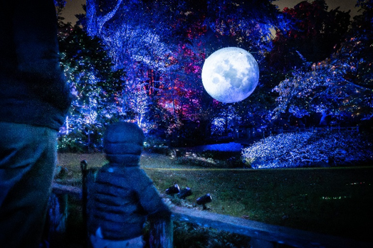 LIGHTSCAPE AT BROOKLYN BOTANIC GARDEN, NYC