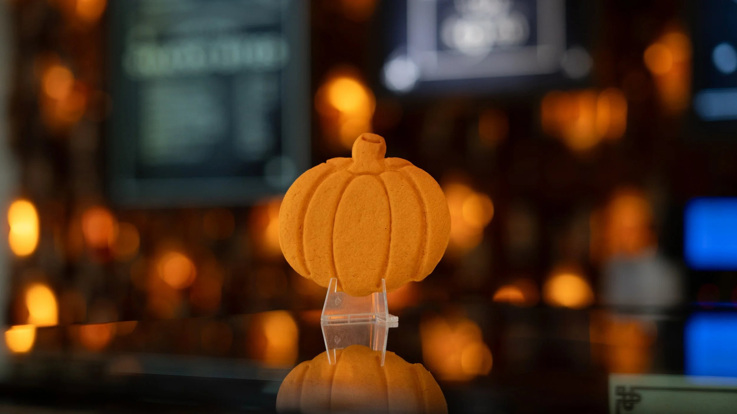 CELEBRATE HALLOWEEN AT HARRY POTTER SHOP, NYC