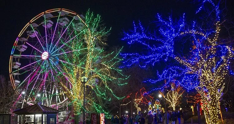LINCOLN PARK ZOO LIGHTS, CHICAGO