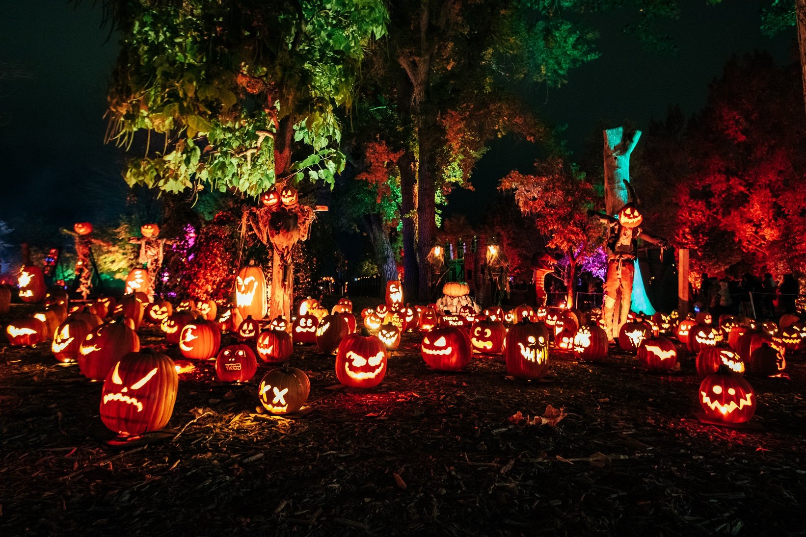 2023 MAGIC OF THE JACKO'LANTERNS, LA — Average Socialite
