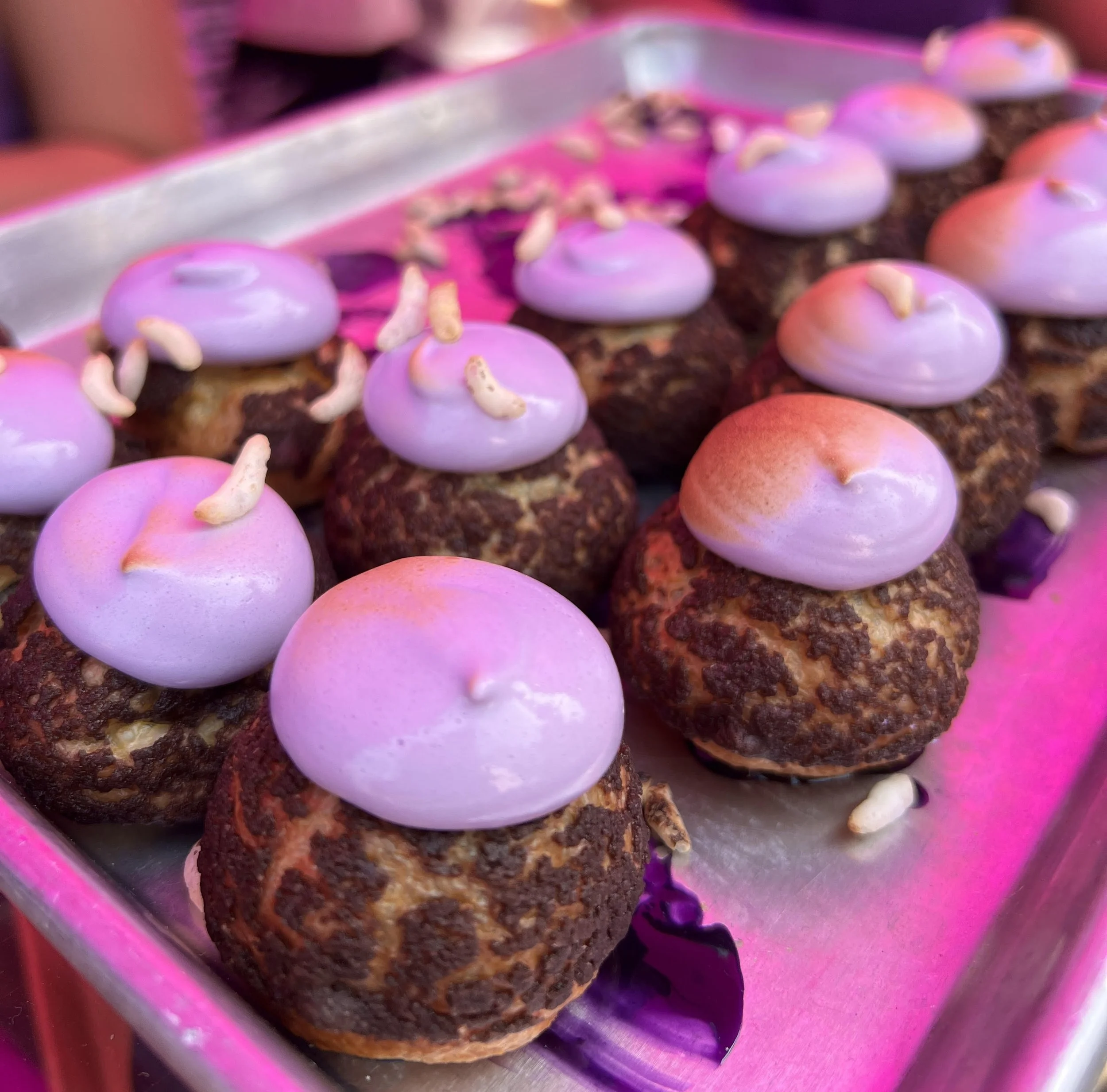 PHILIPPINES FEST, NYC — Average Socialite