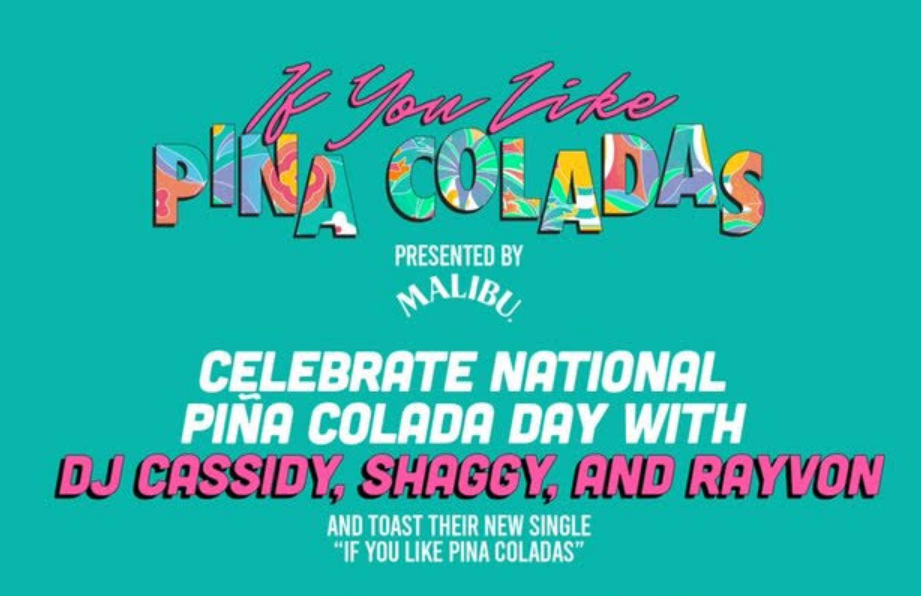IF YOU LIKE PINA COLADAS MUSIC VIDEO PREMIERE, LA — Average Socialite