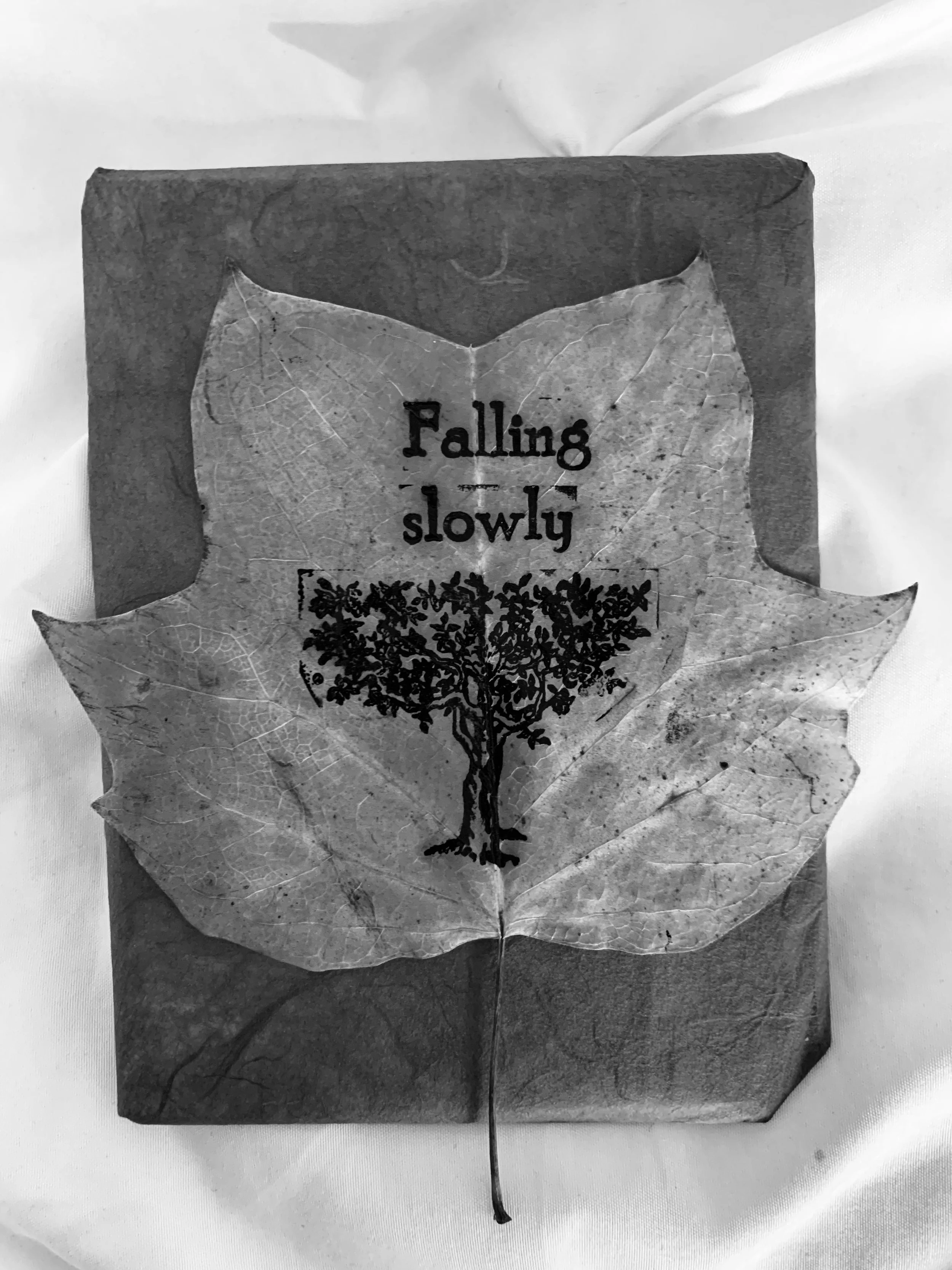 Falling Slowly .jpg