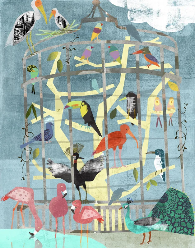 Zoo Birds