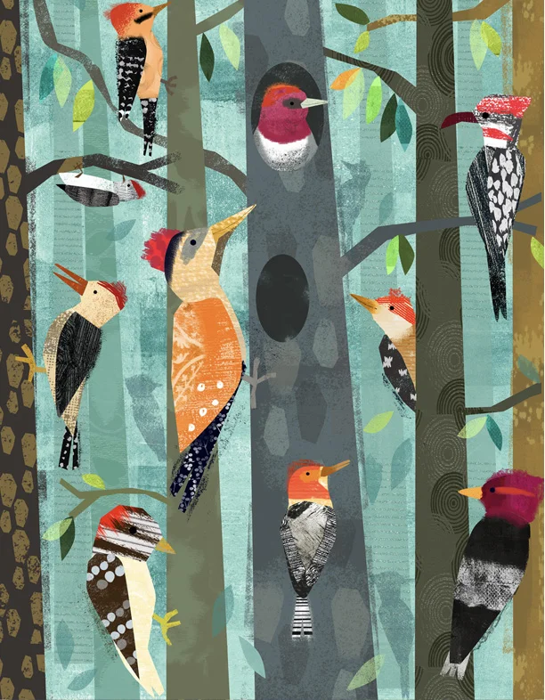 Woodpeckers