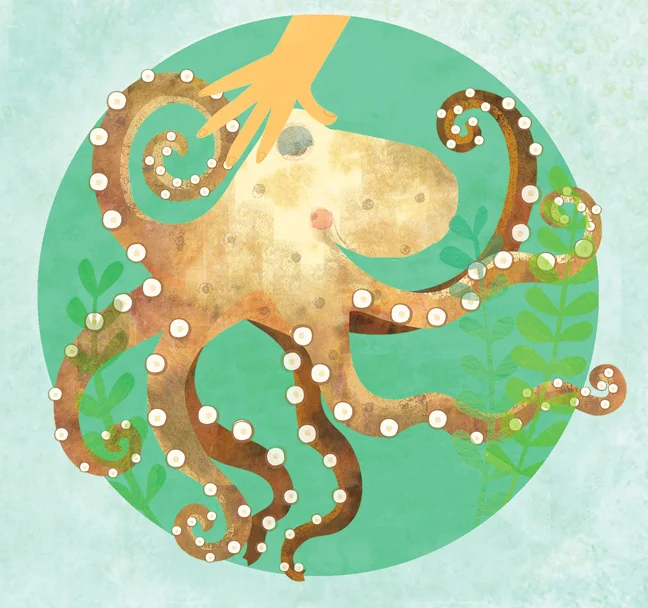 Octopus