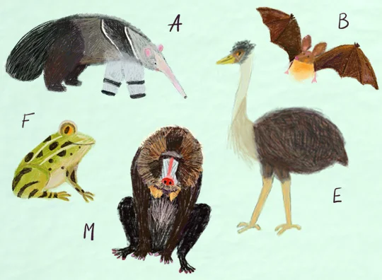 Alphabet Animals