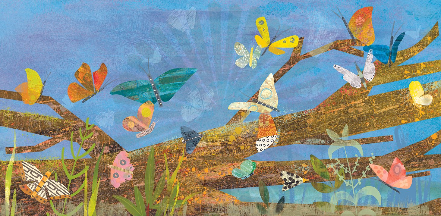 Butterflies