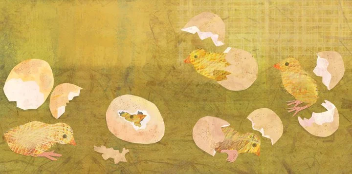 Hatching Chicks