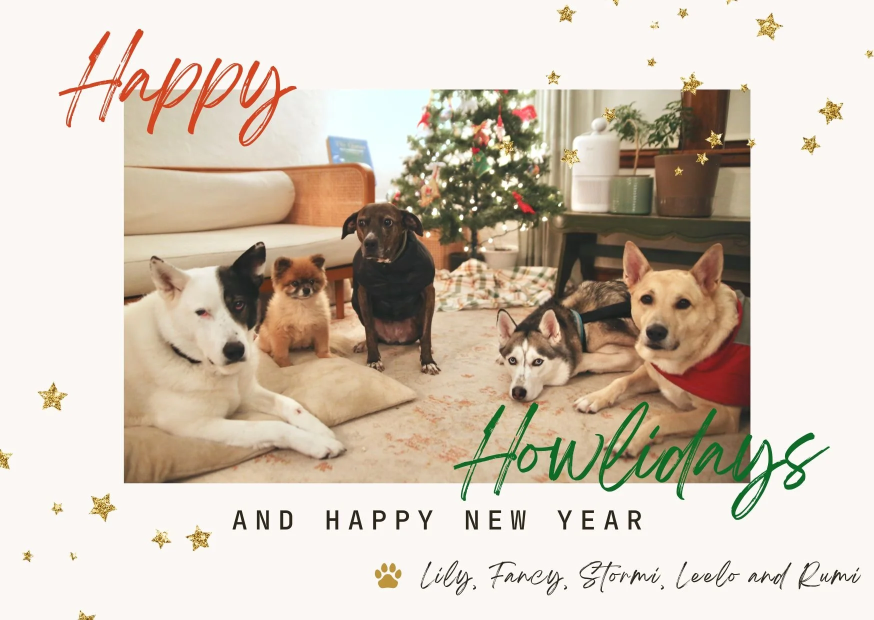 Red Aesthetic Modern Dog Christmas Card.JPG