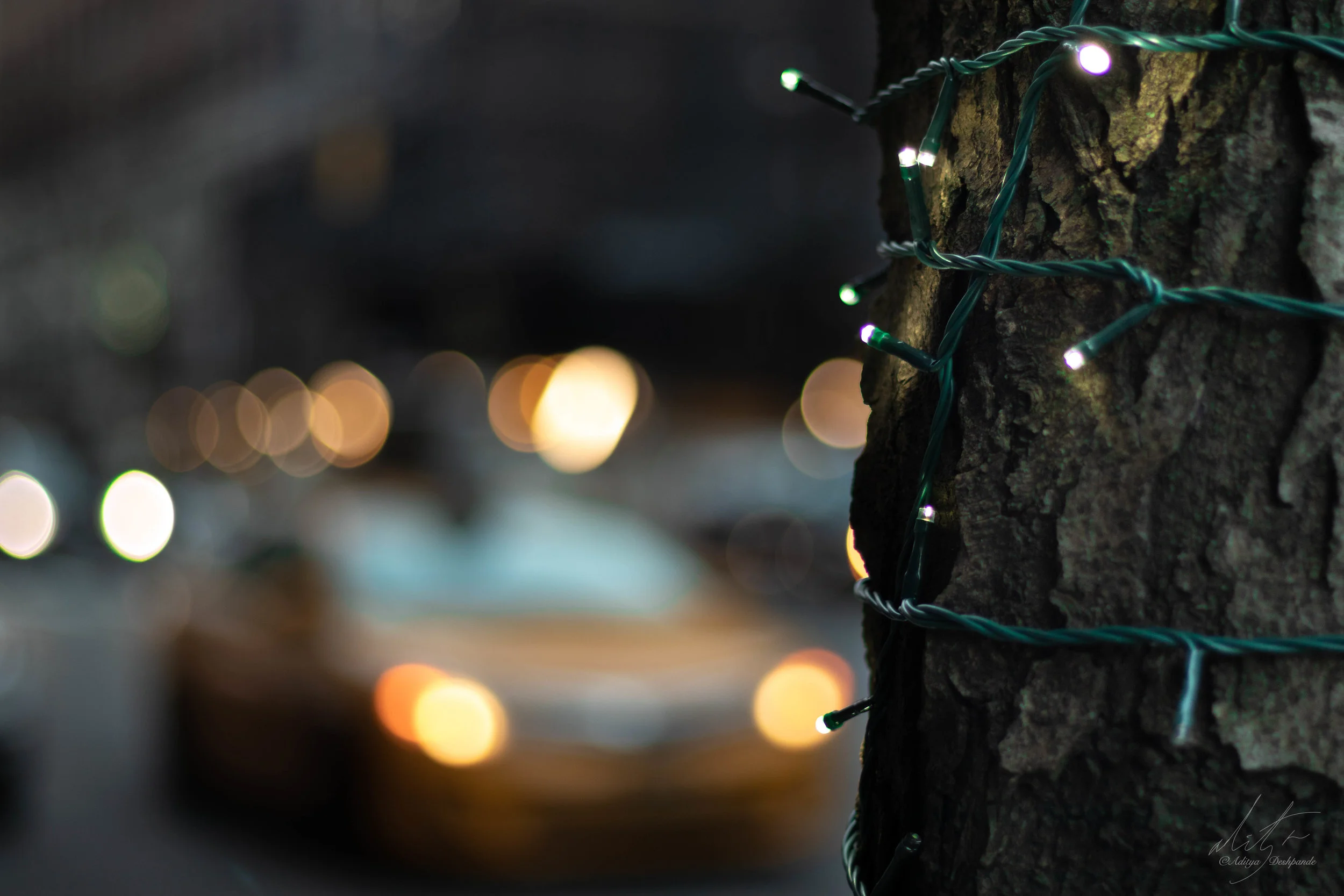 Bokeh for days