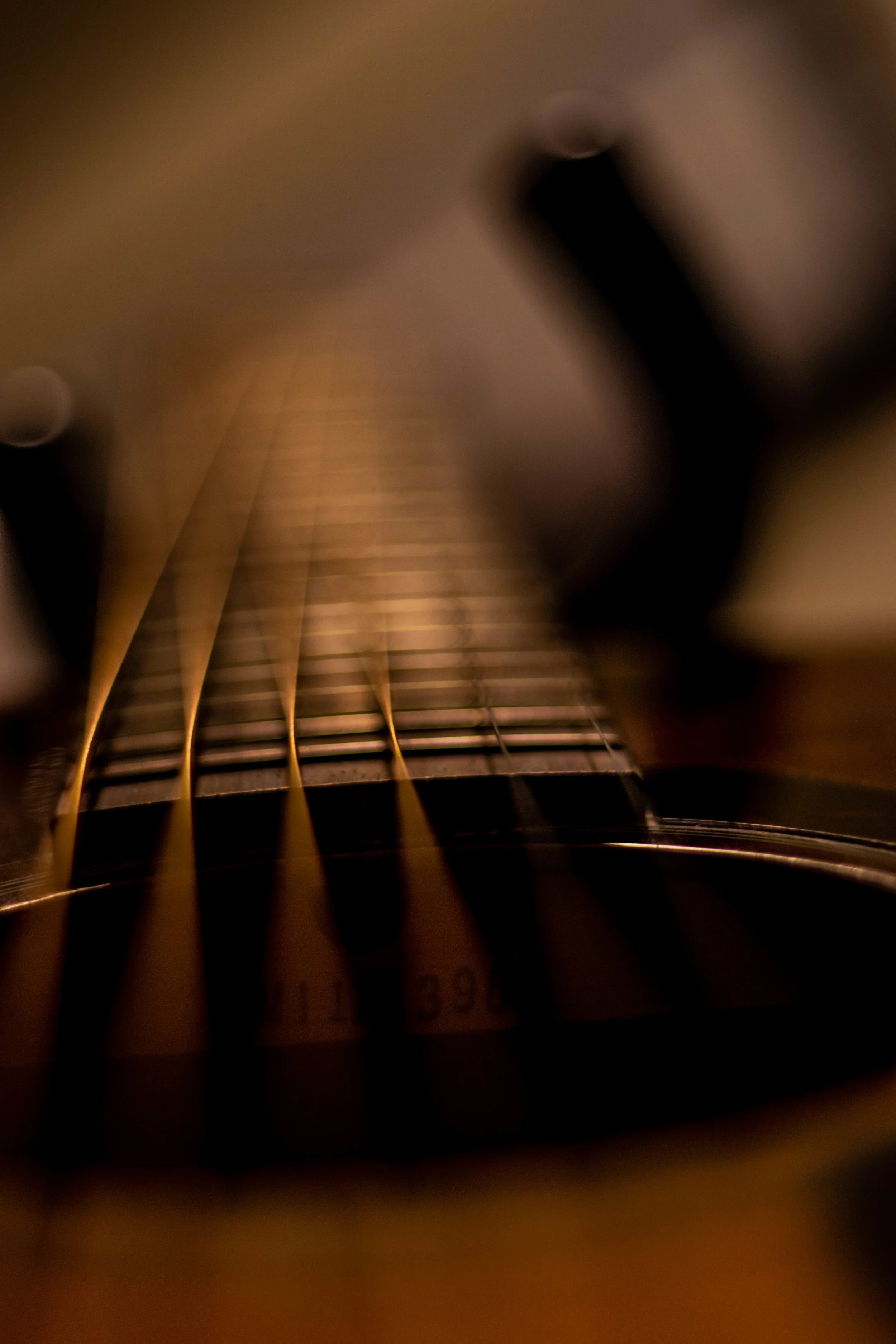 Frets and strings