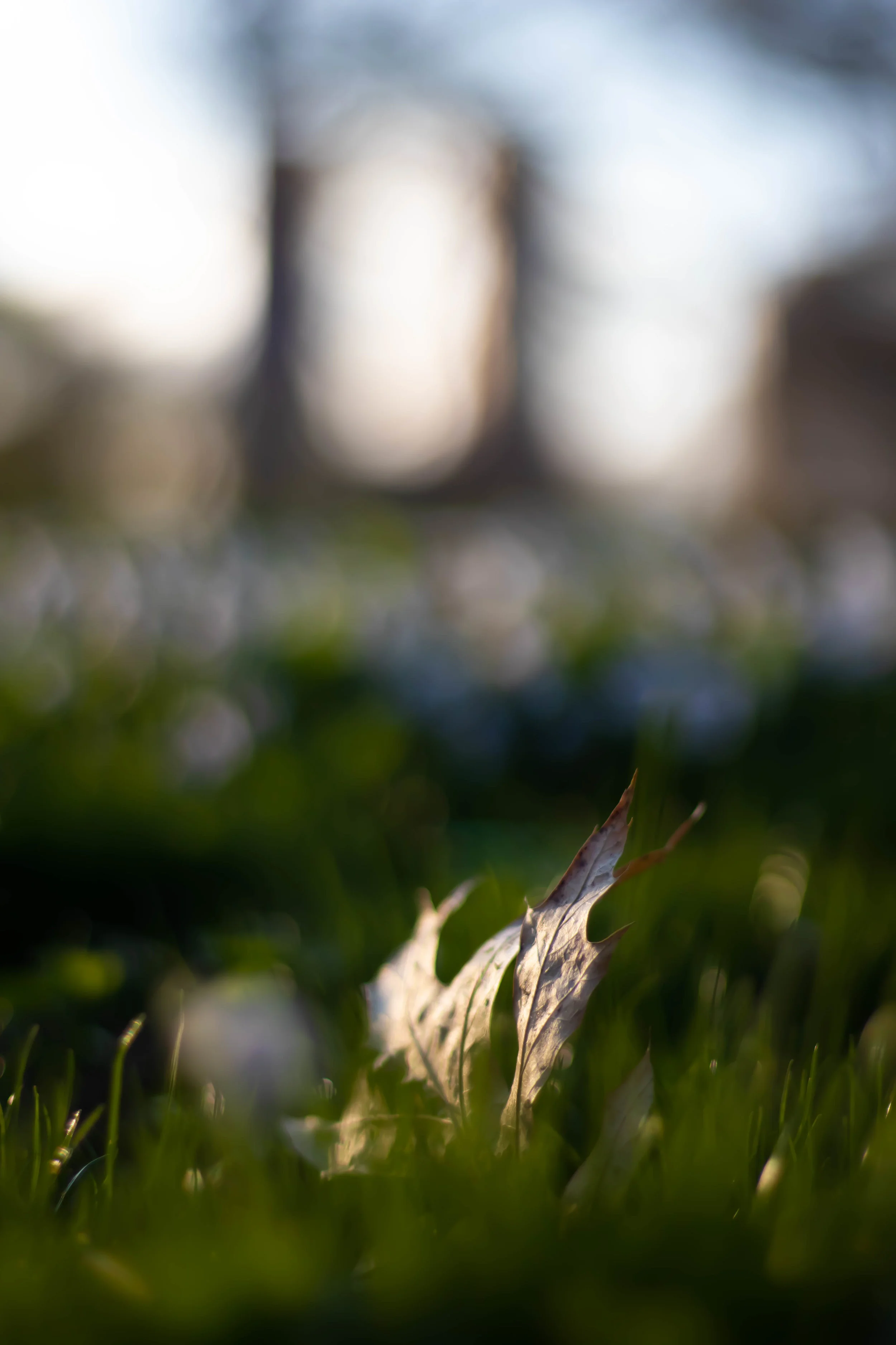 Remnants of winter and upper west side