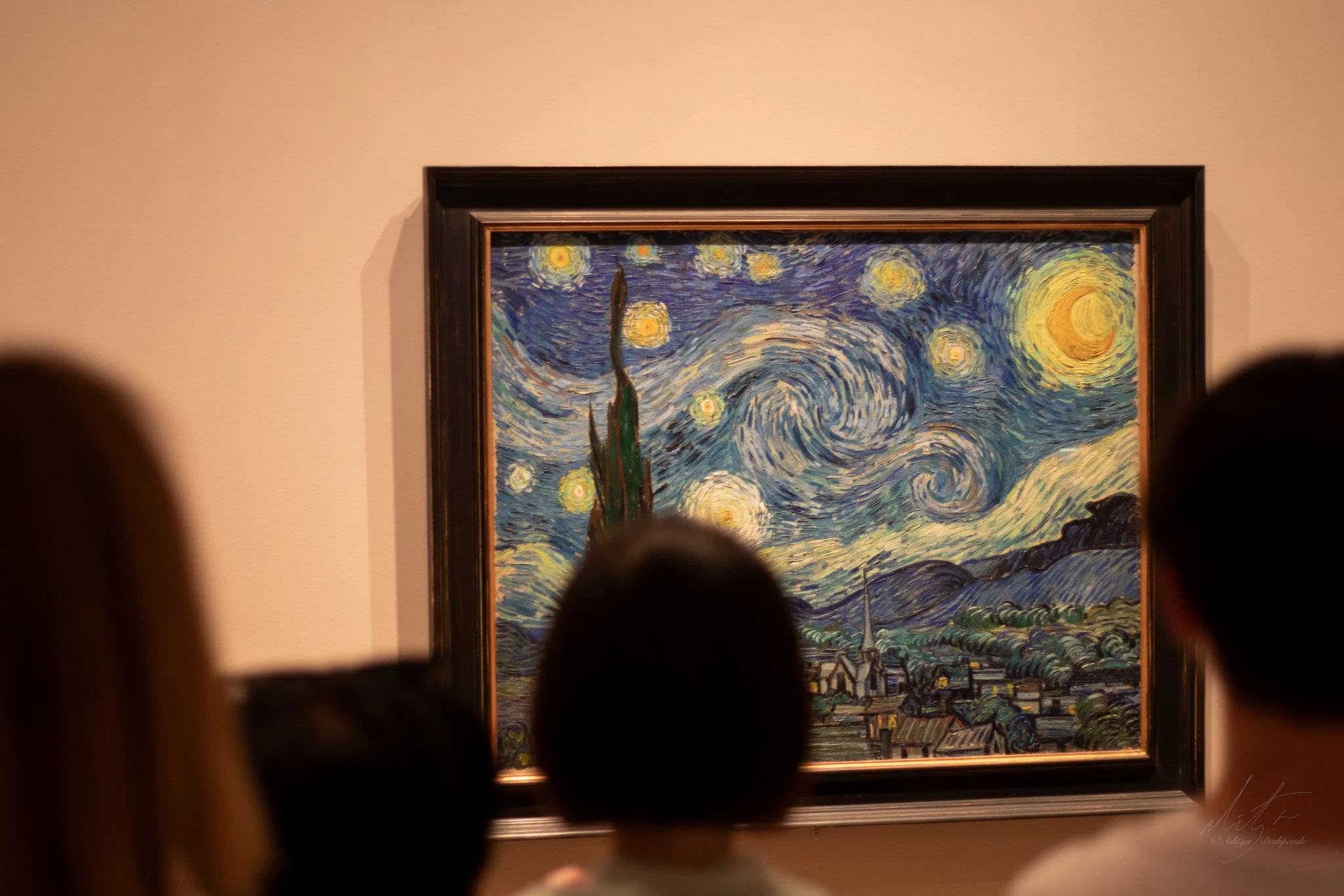 Lost in the Starry Night