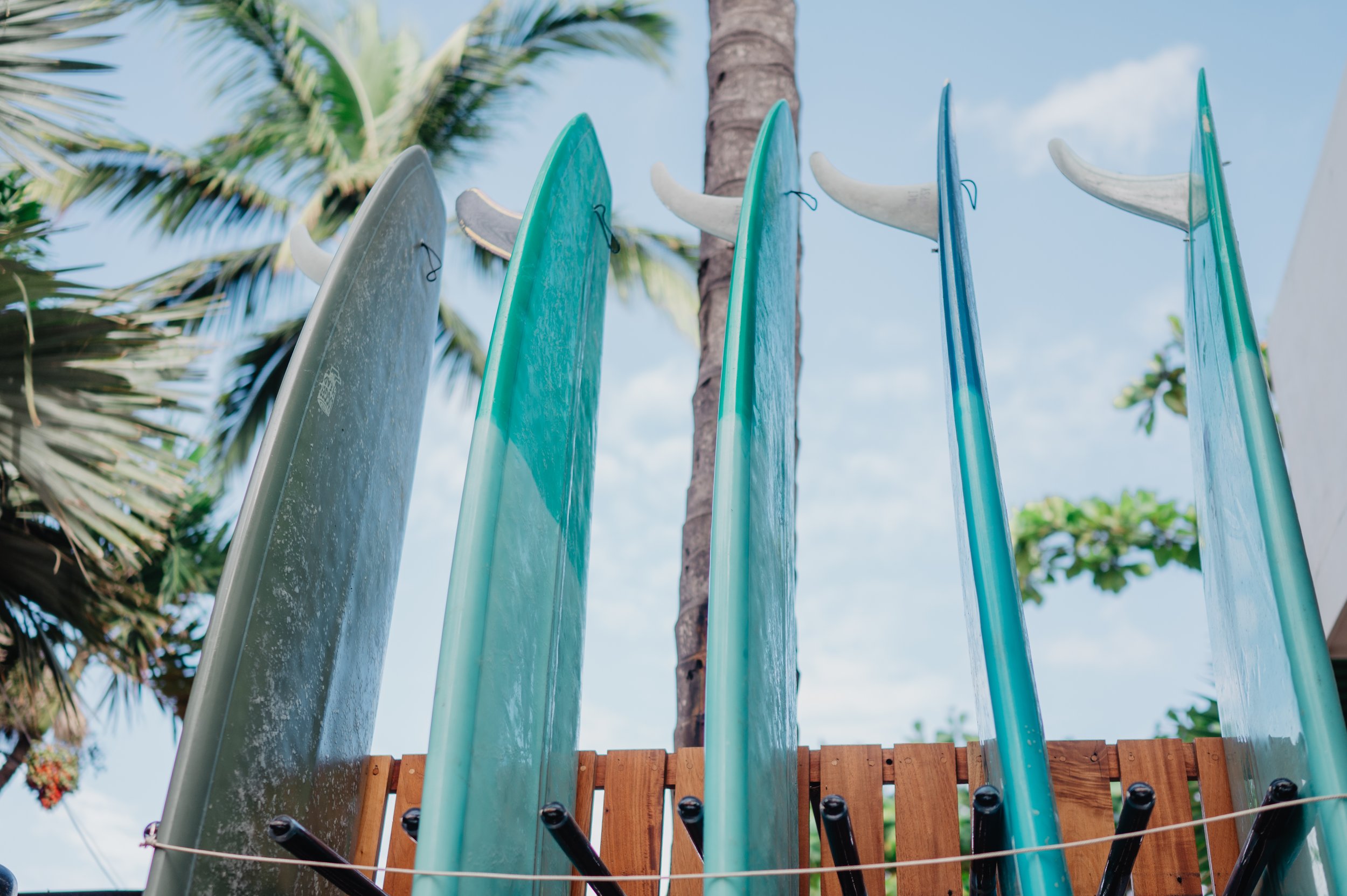 Surfboard Rentals Sayulita