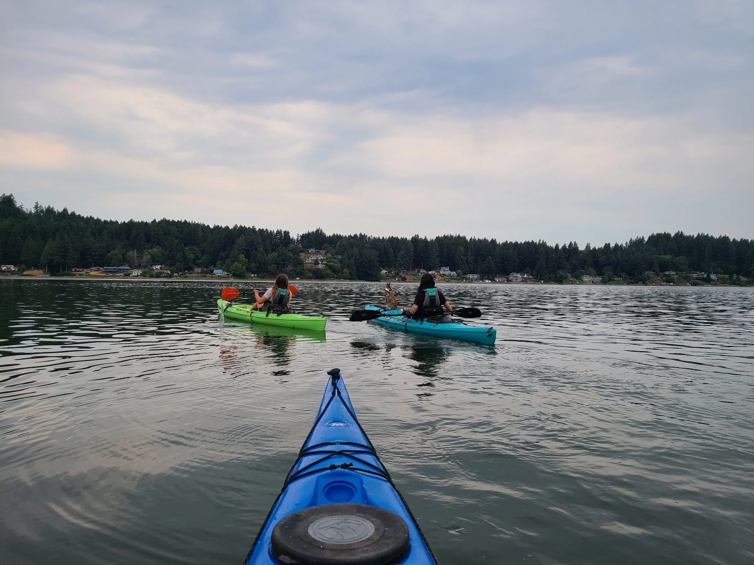 Rest and Reset: Day Retreat with Live Music