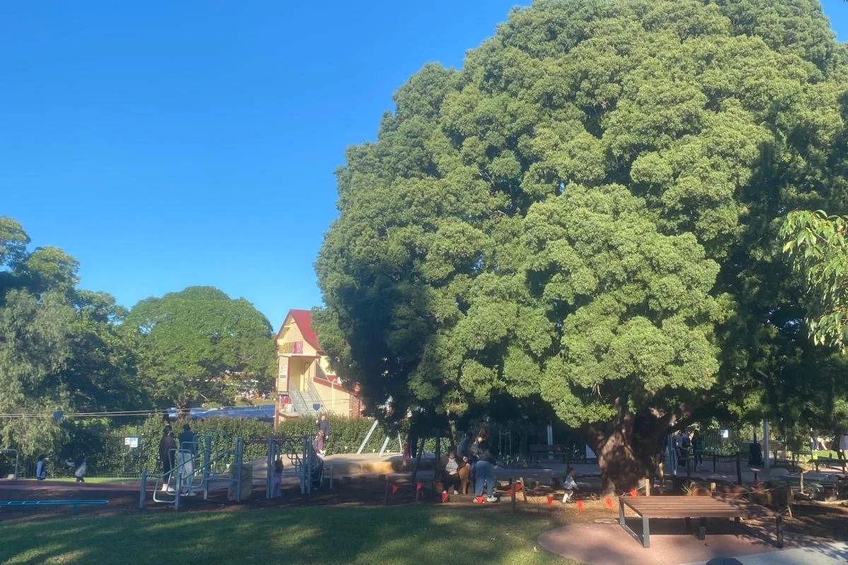 New Inclusive Playground in YEO Park - Djarrawunang Playground is a hop, skip and jump from Outfield Cafe