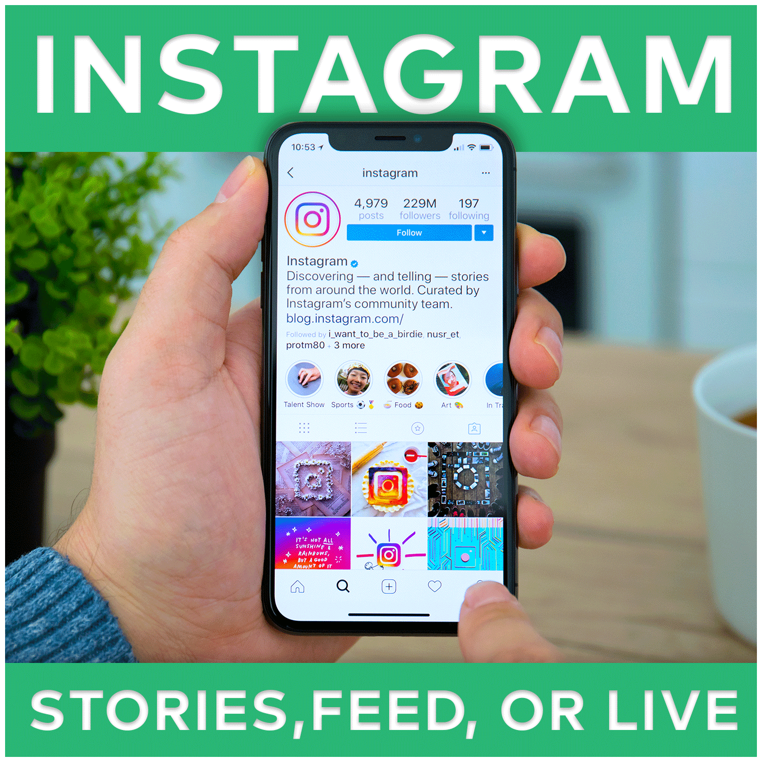Instagram Stories, Instagram Feed, or Instagram Live: Which is Best to use in 2025?
