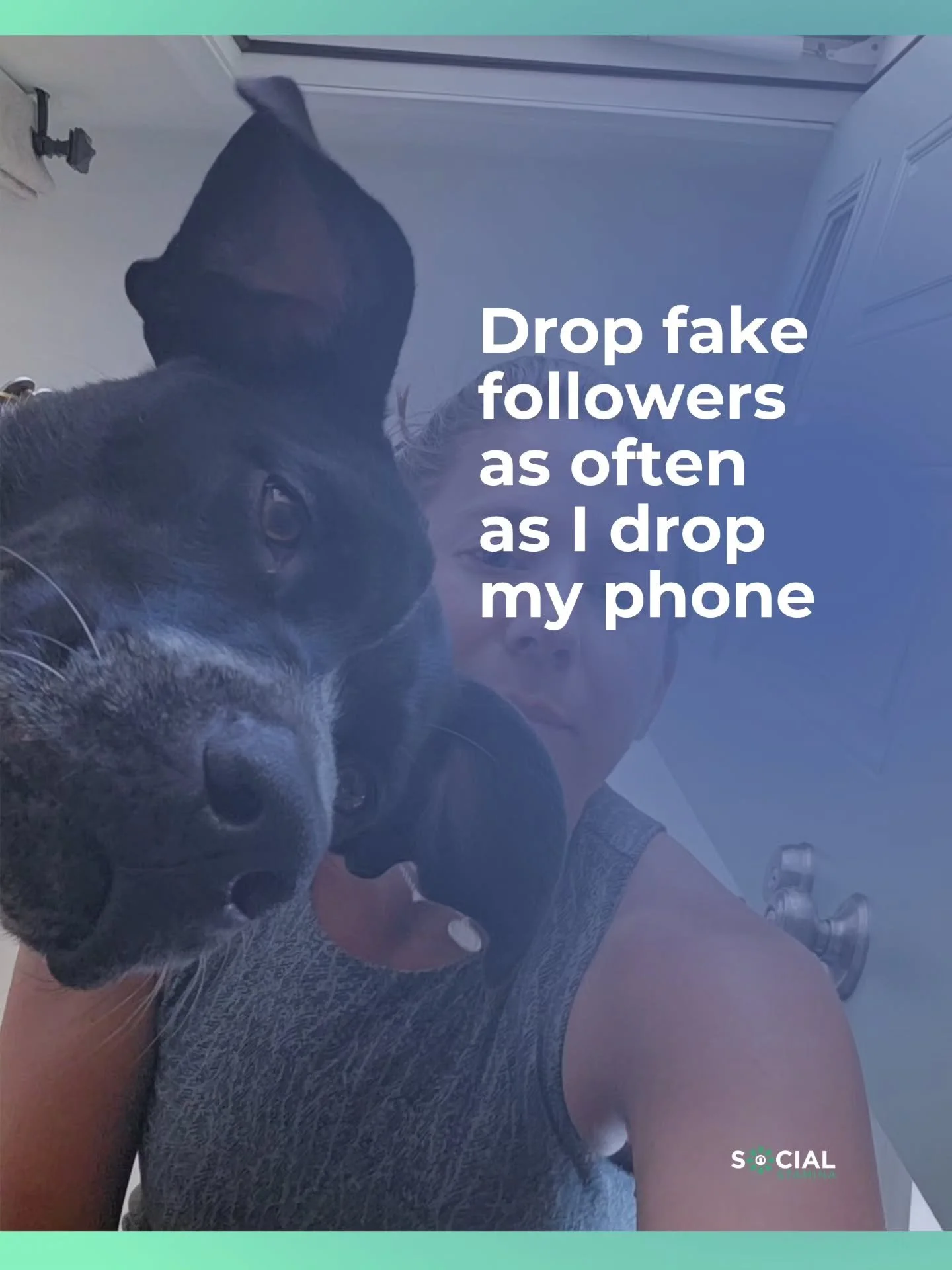 Fake followers are more than annoying; They're a liability.

Bots and spammers skew your audience, hurt your credibility, and open the door to phishing attempts. Your follower list should be full of real people: potential clients, industry peers, and