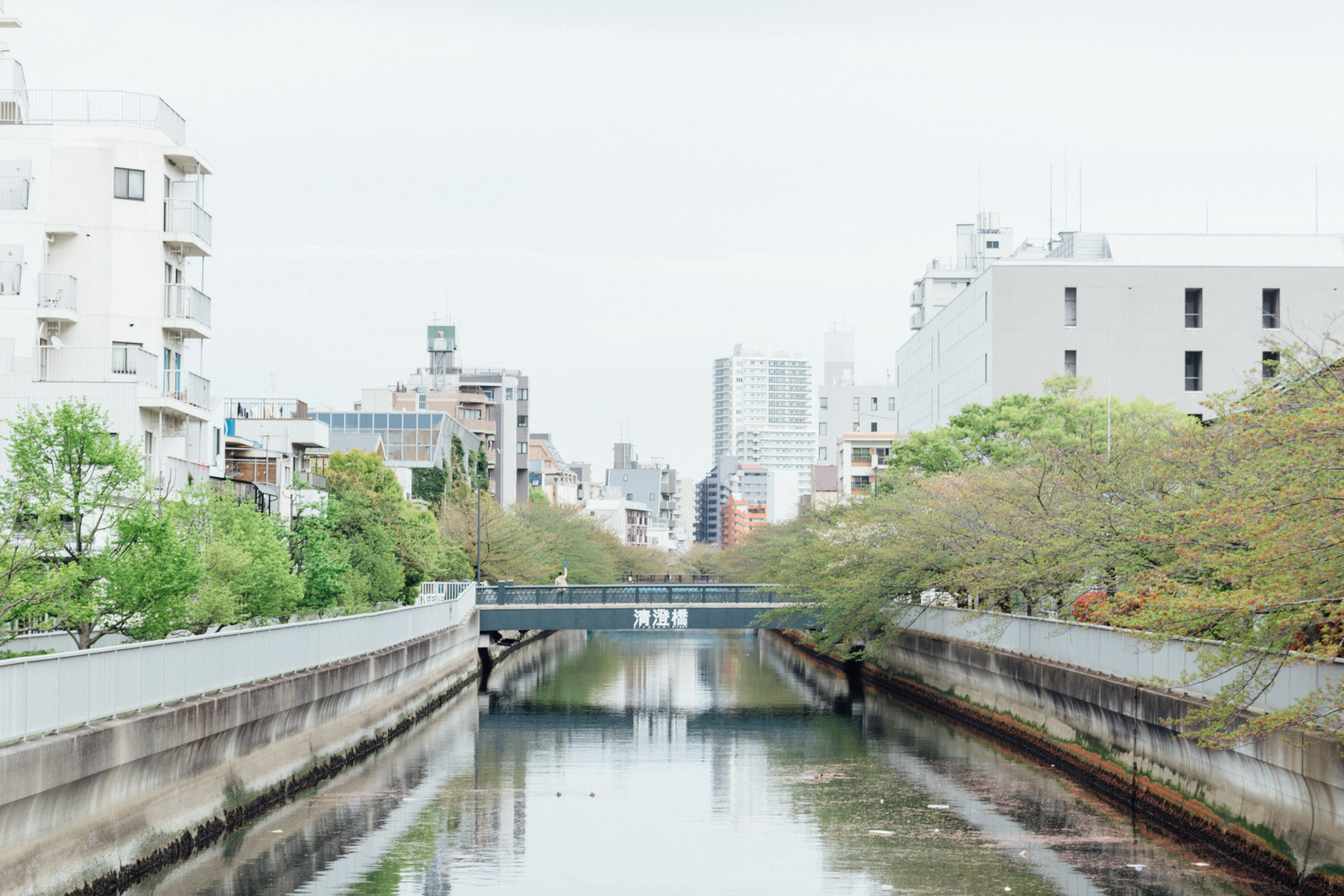 清澄橋