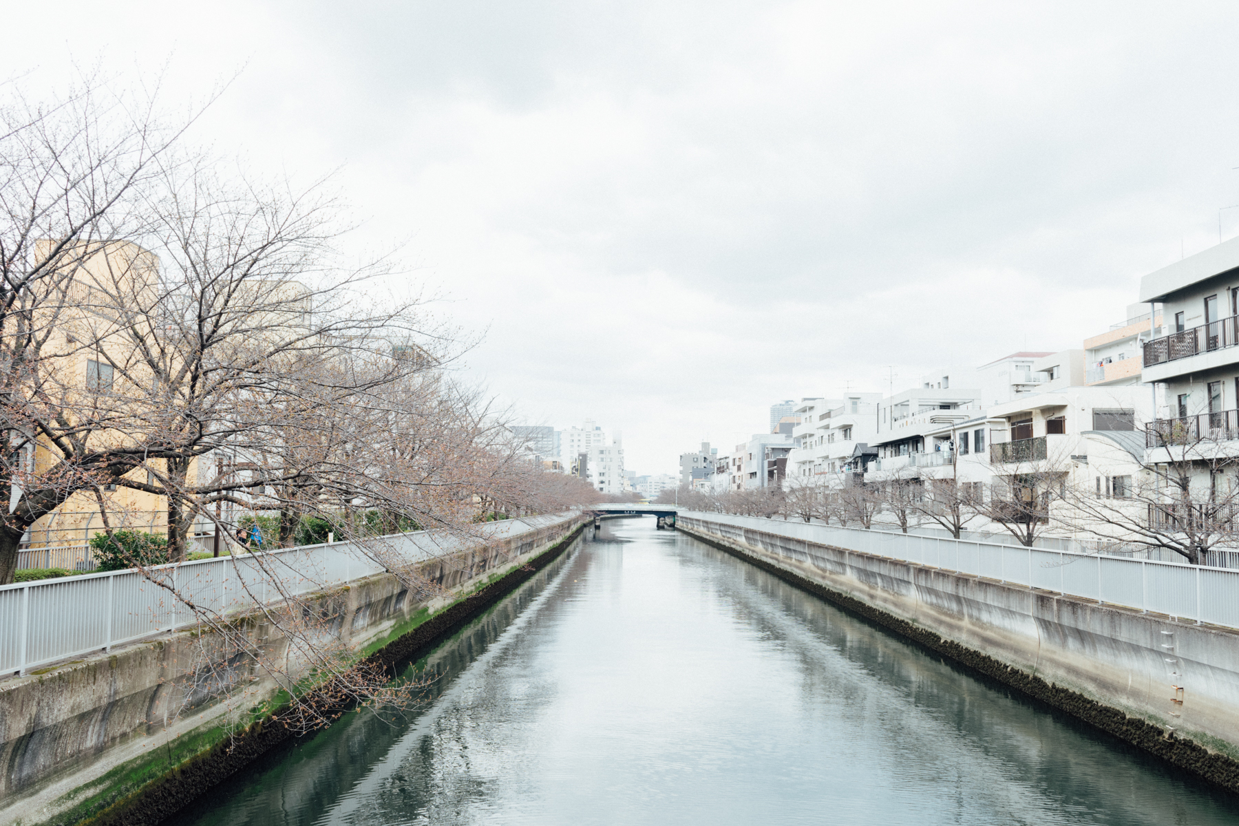 大横川沿い