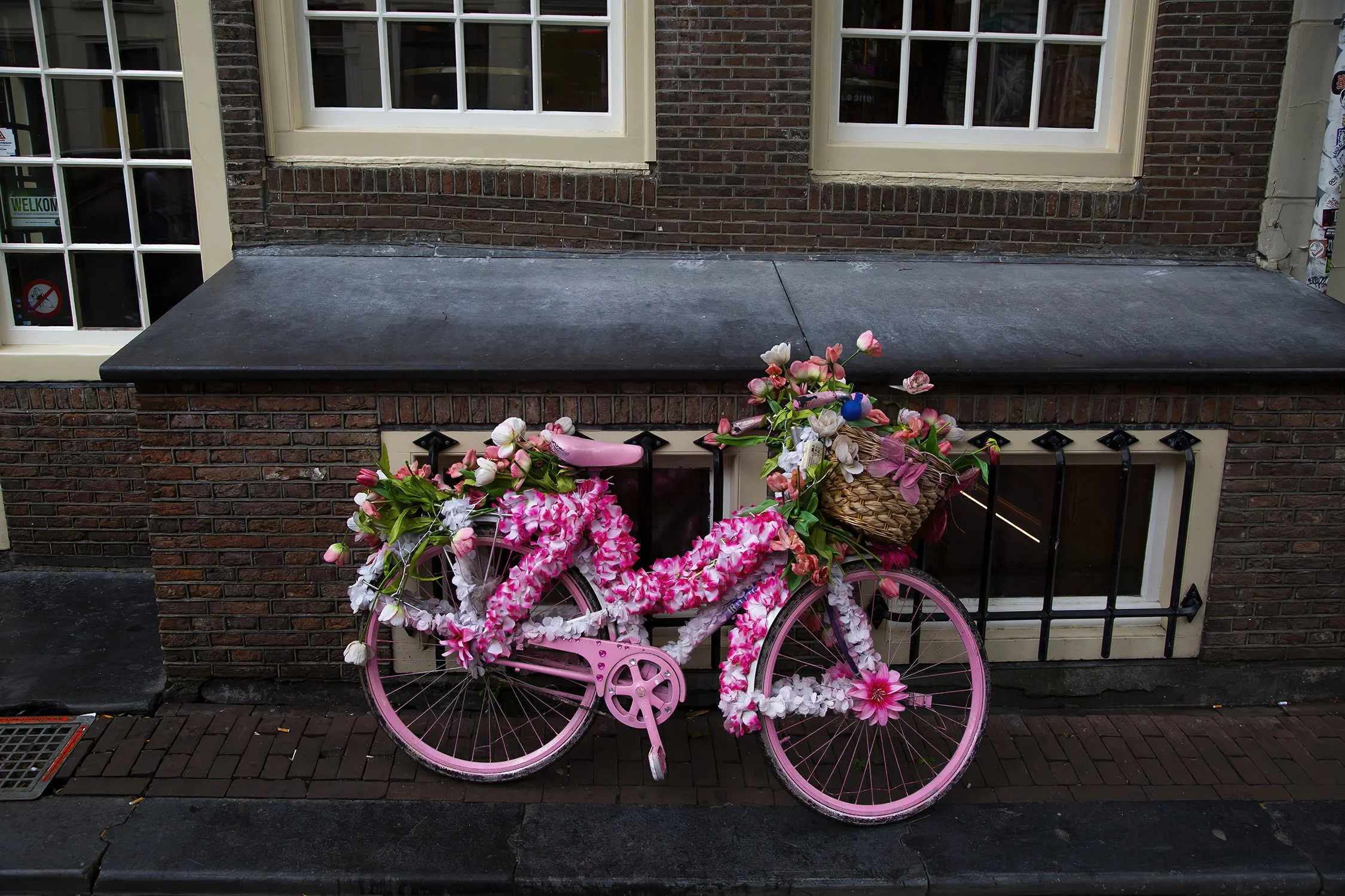 1Red Light Bike 260.JPG