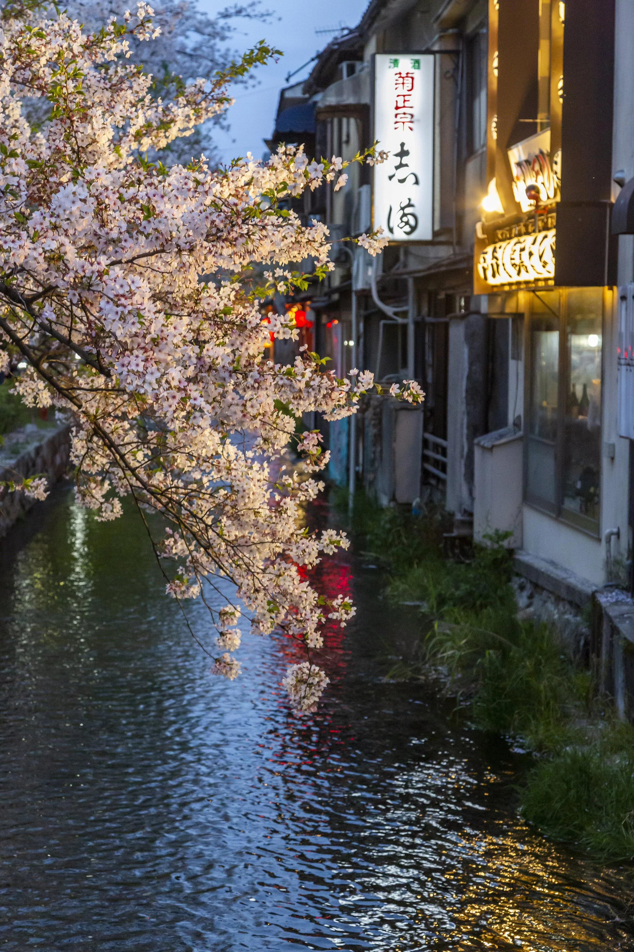 1Kyoto day1 051_1.JPG