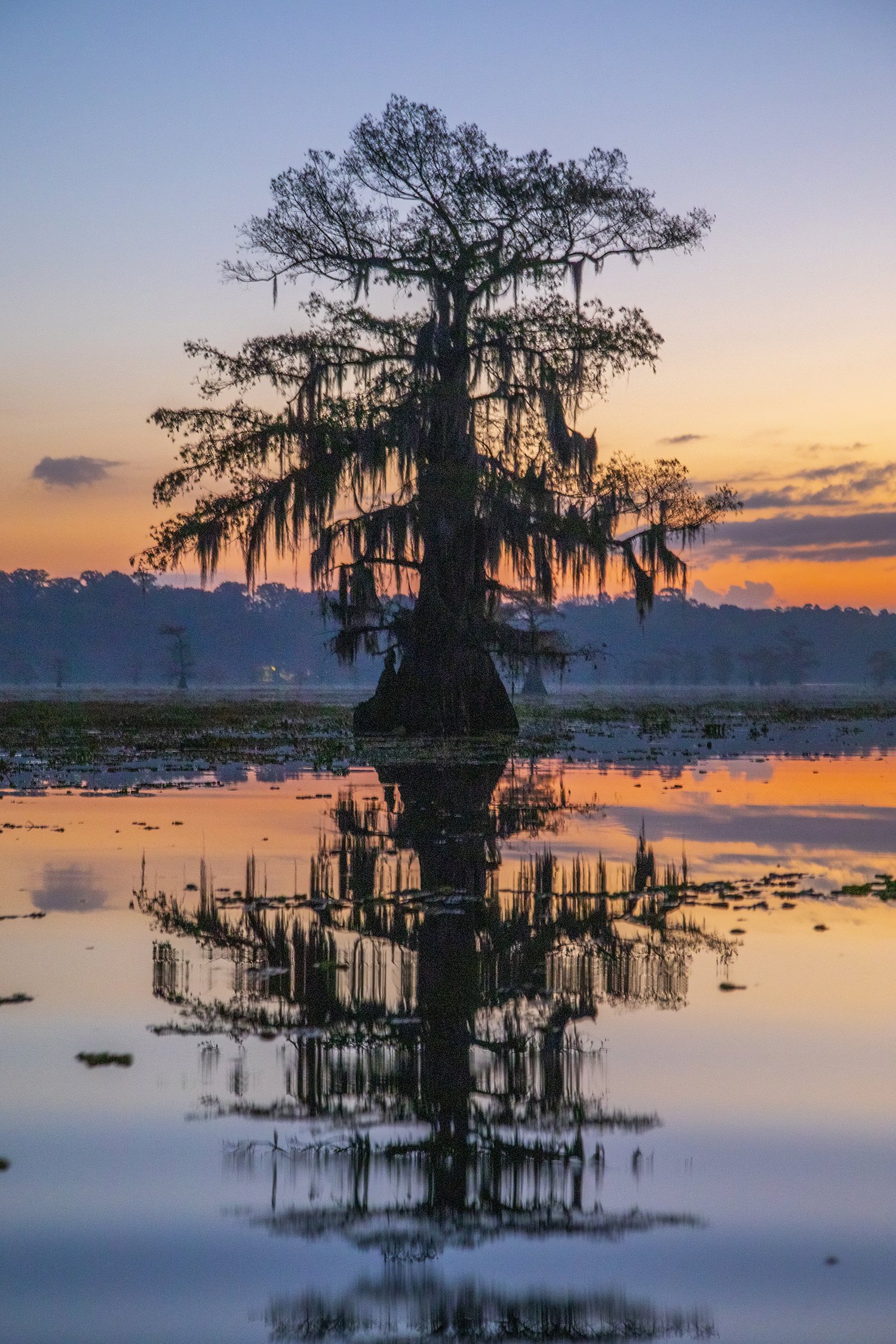 1Caddo 069.jpg