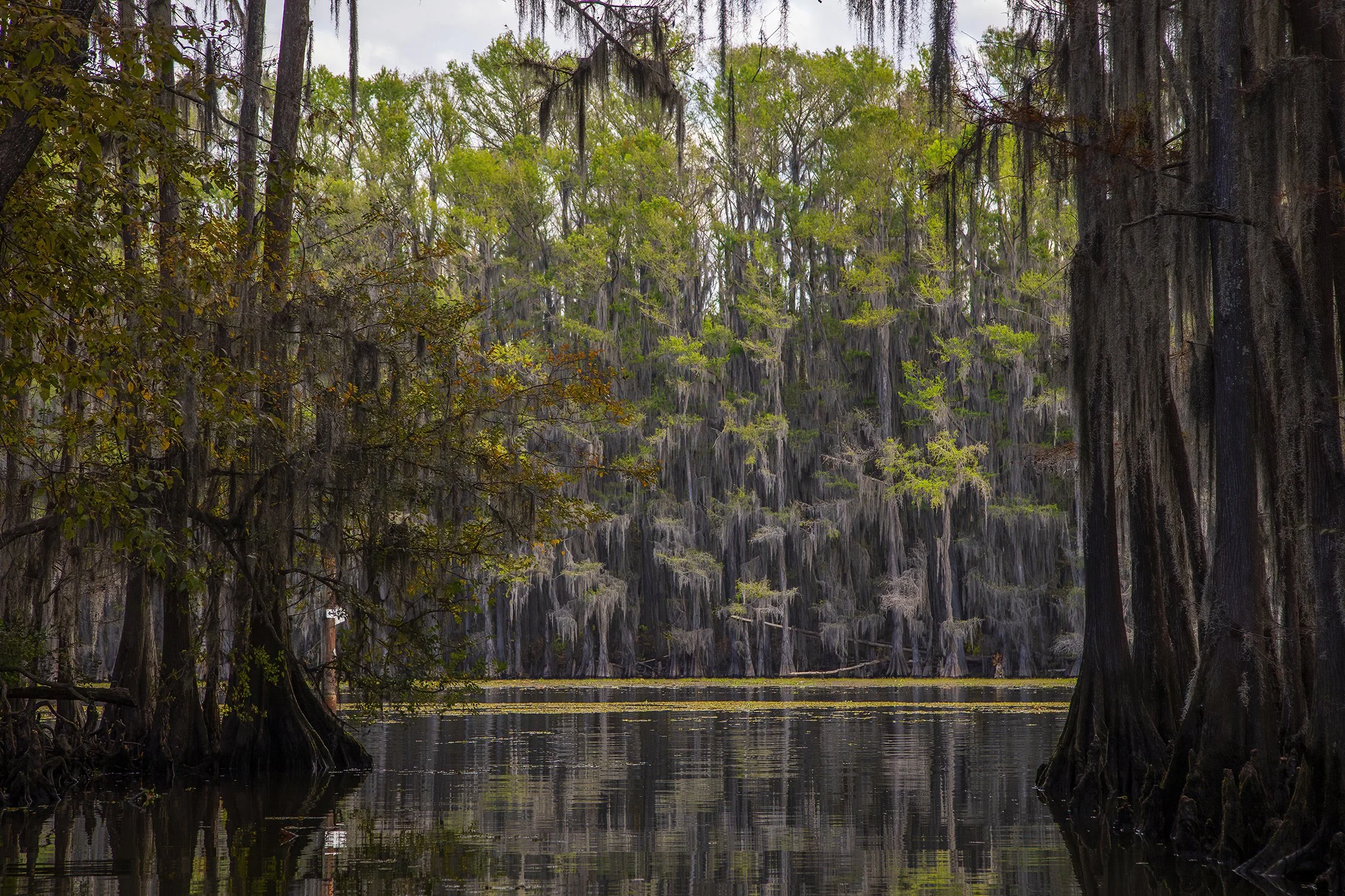 1Caddo 205.jpg
