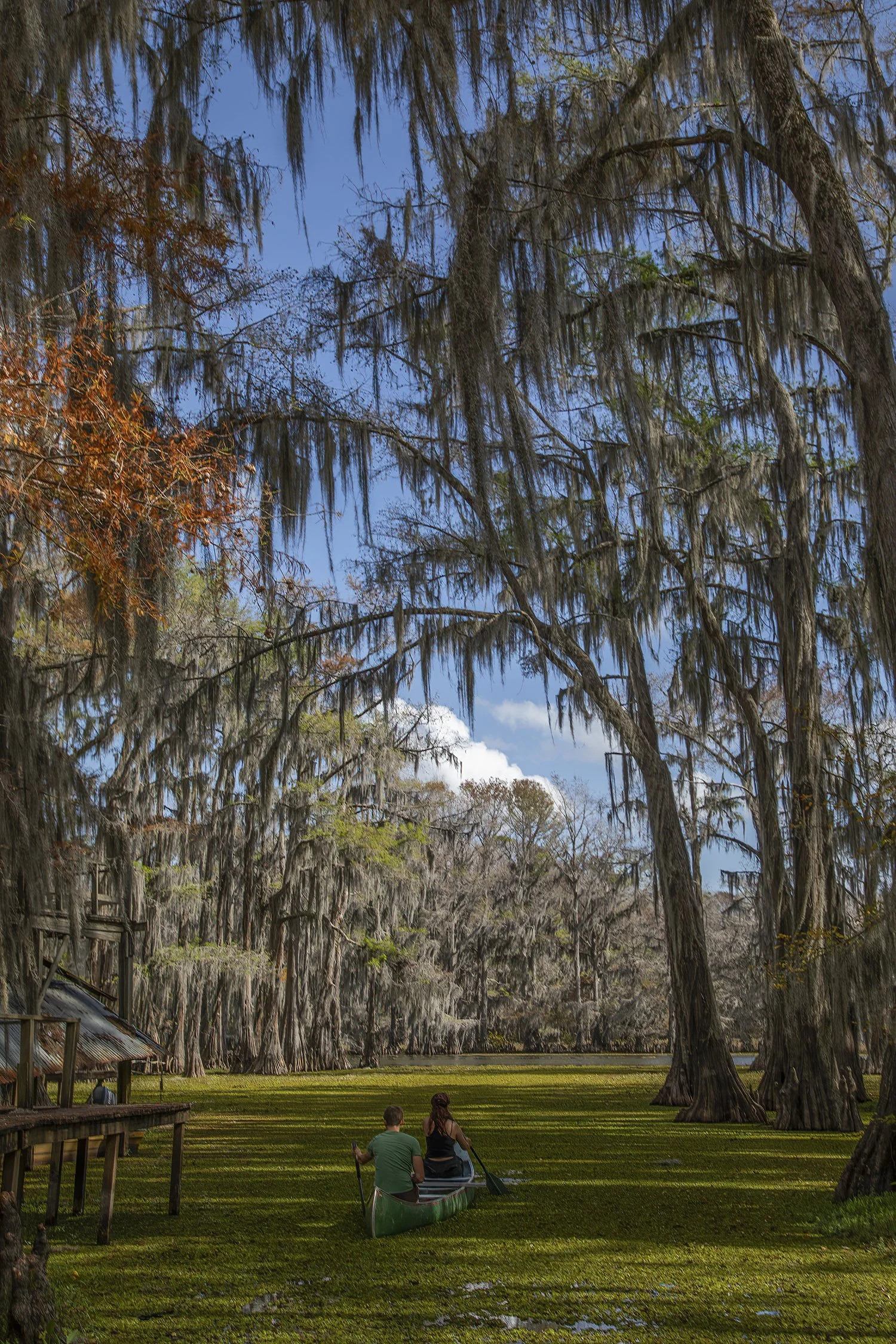 1Caddo 257.jpg