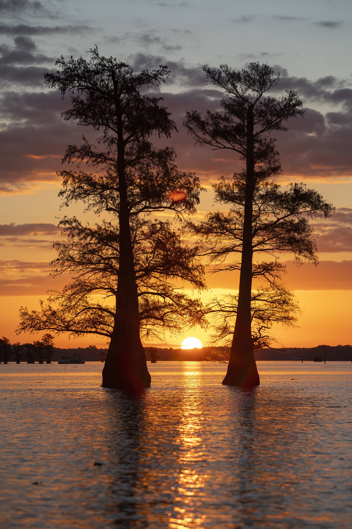 1Caddo 509a.jpg