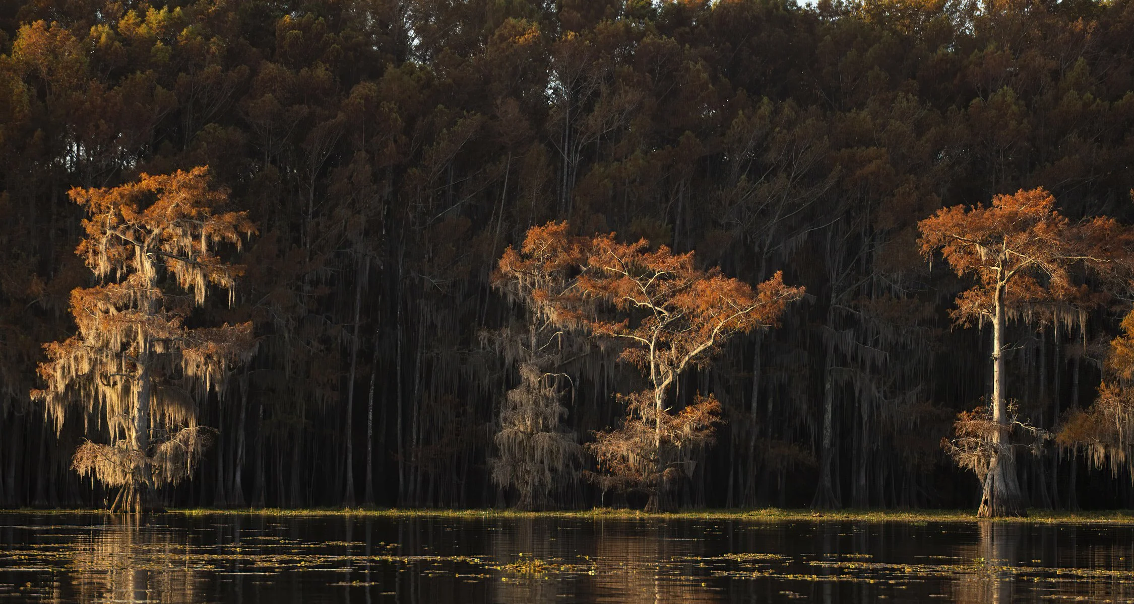1Caddo 562a.jpg