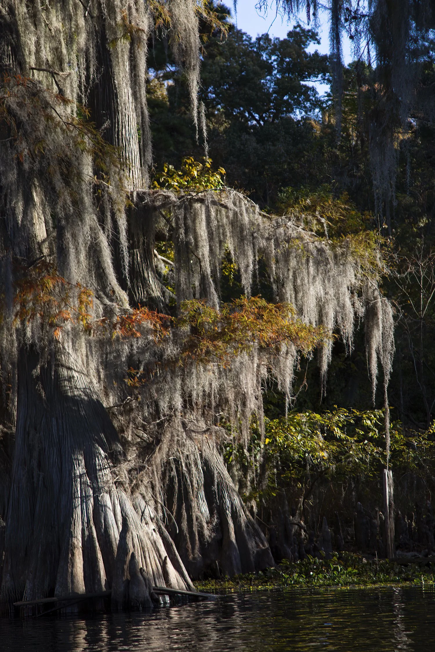 1Caddo 614a.jpg
