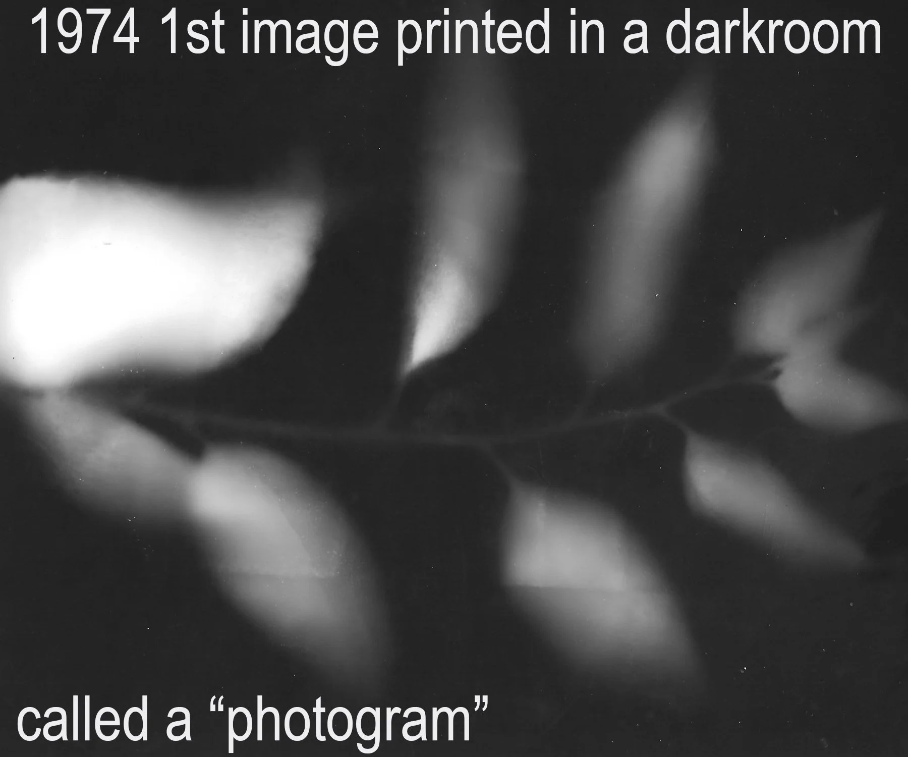 TK first print 1.jpg