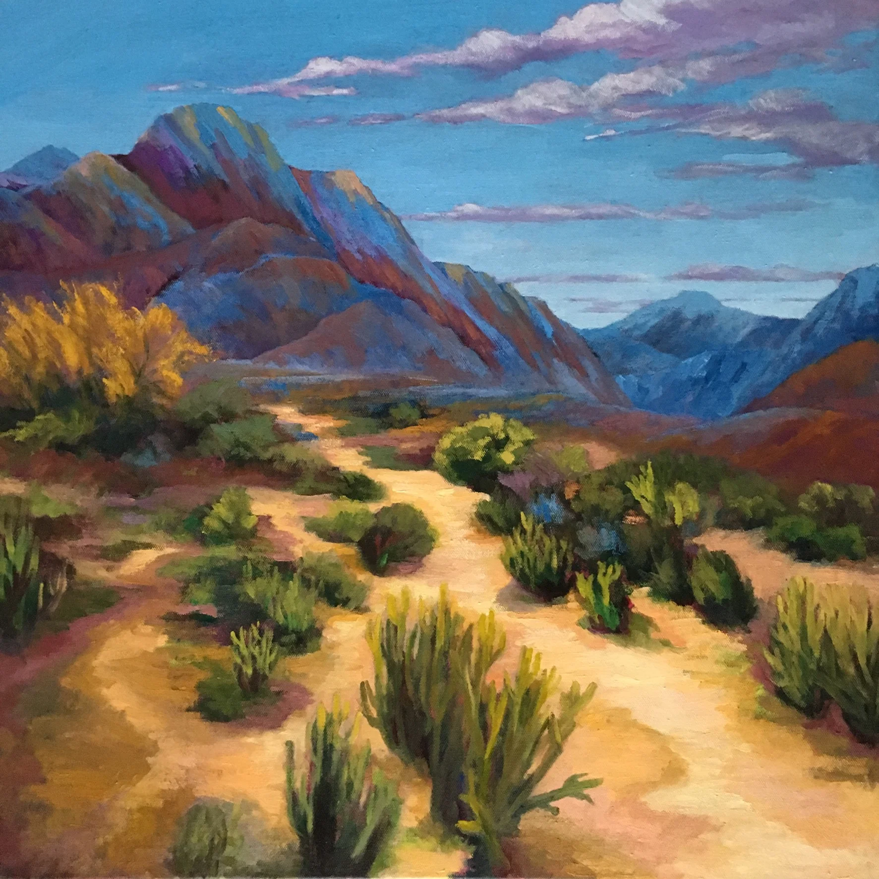 Desert Path
