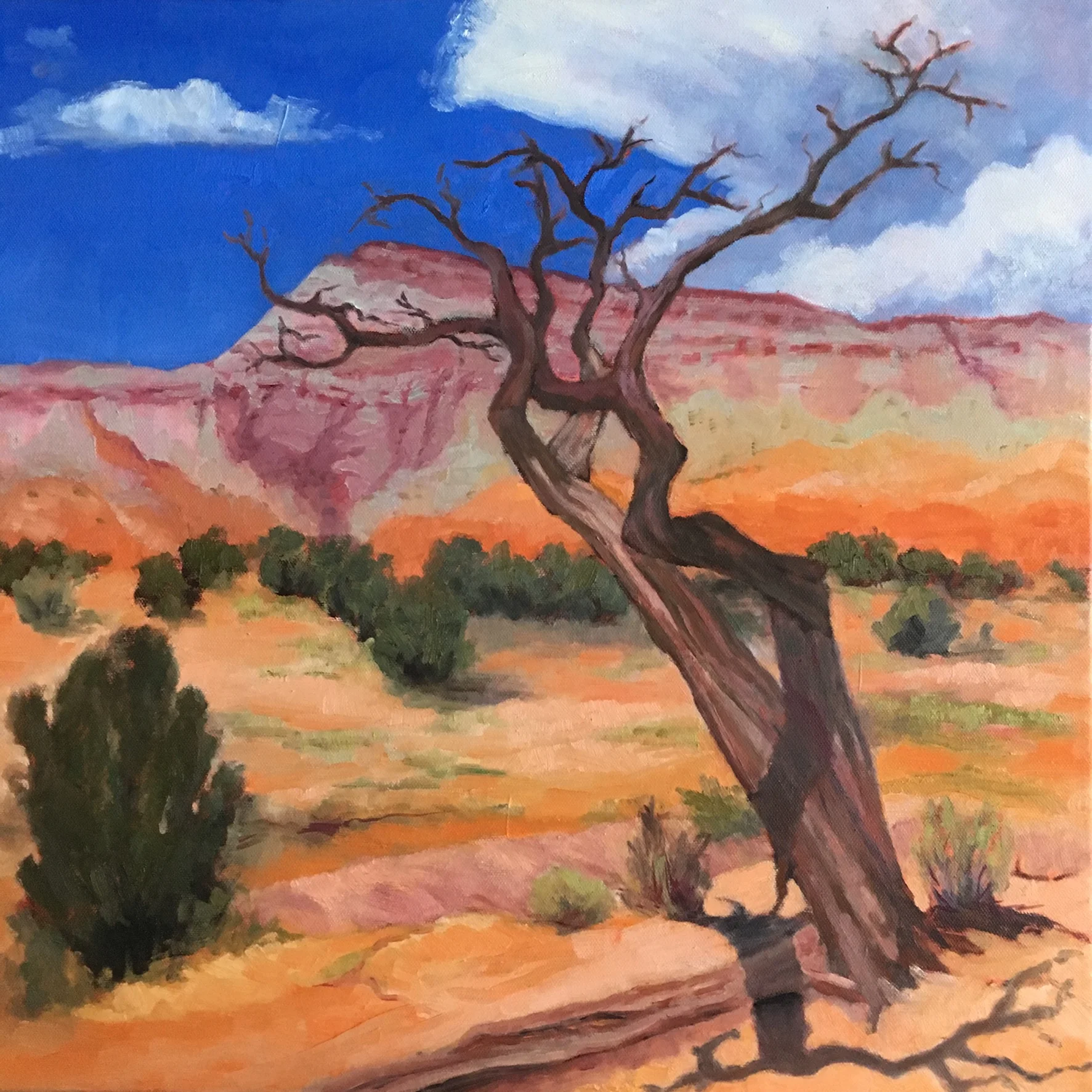 Gerald's Tree-Ghost Ranch